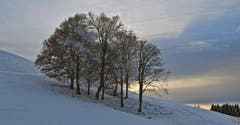 Erste Schneespuren am Kaienspitz! (Bild: Walter Schmidt)