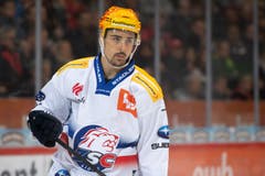 Dem EVZ gelingt ein weiterer Transfercoup: Der Zürcher Shootingstar Jérôme Bachofner wechselt auf die kommende Saison nach Zug. Die ZSC Lions hätten ihr Eigengewächs gerne behalten. Immerhin hat der 22-Jährige noch viel Entwicklungspotenzial und gehört aktuell zu den besten Scorern seines Teams. (Bild: Anthony Anex/PPR)
