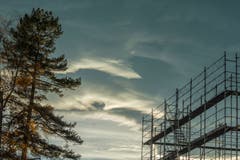 In den Himmel wachsen. (Bild: Hans-Jörg Nüesch)