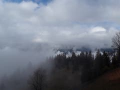Wunderschöne Herbststimmung mit Nebel. Aufgenommen im Axalpgebiet. (Bild: Bruno Ringgenberg, 3. November 2018)