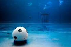 Der etwa handballgrosse Spielball besteht aus Gummi. (Bild: Philipp Schmidli (Luzern, 3. November 2018))