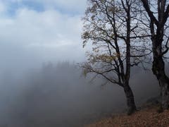 Wunderschöne Herbststimmung mit Nebel. Aufgenommen im Axalpgebiet. (Bild: Bruno Ringgenberg, 3. November 2018)