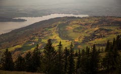 Die letzten Sonnenstrahlen auf dem Walchwilerberg. (Bild: Daniel Hegglin (Gnipen, 1. November 2018))