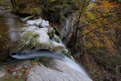 Der Rotbach in Teufen: Oben am Höchfall bei Niedrigwasser. (Bild: Franz Häusler)