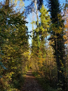 Spaziergang am 1. November an der Thur (Bild: Reto Schlegel)