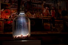 Mäusewein. Diese Spezialität aus China wird so hergestellt: Mäuse in eine Flasche, Reiswein drauf, gären lassen.