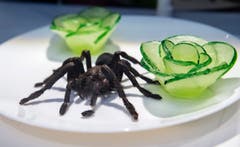 Frittierte Vogelspinne, eine Spezialität aus Kambodscha.