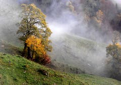 Nebellandschaft am Buochserhorn. (Bild: Sepp Bernasconi (Buochs, 2. November 2018))