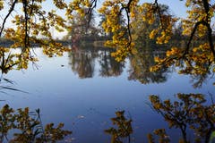 Goldener Herbst am Steinibühlweiher. (Bild: Martin Küttel (Sempach, 5. November 2018))