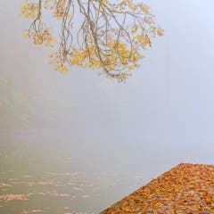 (Bild: Franziska Hörler)