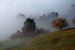 (Bild: Toni Sieber)