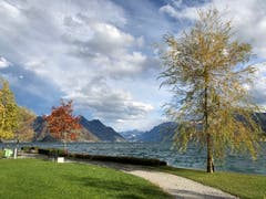 Herbststimmung im Buochser Seebecken. (Bild: Edith Pargger-Amstutz (Buochs, 6. November 2018))
