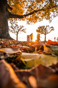 Herbstliche Farben. (Bild: Daniel Hegglin (Zug, 5. November 2018))