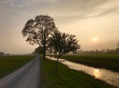 (Bild: Christa Kehl)