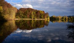 Auch in Deutschland zeigt sich ein prächtiger Herbst: Königswaldsee in Offenburg. (Bild: Alfred Herzog (Offenburg, 2. November 2018))