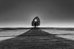 (Bild: Luciano Pau)