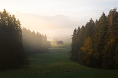(Bild: Dominik Sartorius)