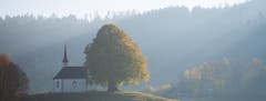 Wyher Kapelle im Herbstkleid. (Bild: Priska Ziswiler-Heller (Ettiswil, 5. November 2018))