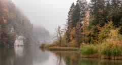 Wichelsee mit Nebel, nicht so «farbig», aber eindrücklich. (Bild: Erich Heiniger (5. November 2018))