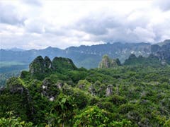 Karstfelsen in der indonesischen Provinz Ostkalimantan. Die nun datierten Höhlenmalereien befinden sich in einer der dortigen Kalksteinhöhlen. (Bild: Pindi Setiawan)
