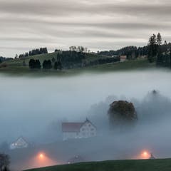 Herbstlicher Abendnebel über Speicher. (Bild: Hans-Jörg Nüesch)