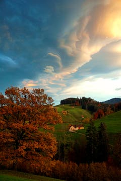 Abend-Föhn-Stimmung auf dem Nieschberg. (Bild: Thomas Ammann)