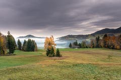 Mystische Herbstfarben auf dem Weg von Urnäsch Richtung Hochalp. (Bild: Luciano Pau)