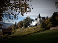 «Schön ist alles was man mit Liebe betrachtet», so Christian Morgenstern einst. (Bild: Margrith Imhof-Röthlin (Meggen, 7. November 2018))