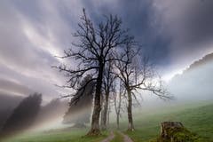 Schwägalp frühmorgens. (Bild: Luciano Pau)