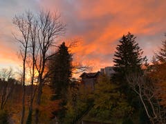 Morgenstimmung am Schokoladenweg in St. Gallen. (Bild: Marlene Morandi)