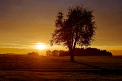 Vielfalt während der Sonnenuntergangs-Phase auf dem Tannenberg. (Bild: Walter Schmidt)