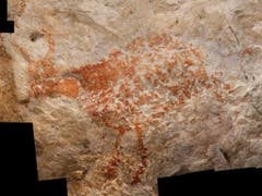 Tierzeichnungen in einer Höhle auf Borneo sind die ältesten bekannten figürlichen Darstellungen aus menschlicher Hand. (Bild: Luc-Henri Fage)
