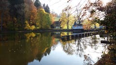 ...und vom anderen Ende her ist der Bubenweier mindestens so farbig. (Leserbild: Doris Sieber - 7. November 2018)