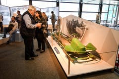Blick in die Ausstellung. (Bild: PD)