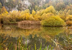 Herbst mit leichtem Nebel. (Bild: Ernst Heiniger (Wichelsee, 5. November 2018))