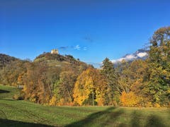 Die Burg Wartau in Gretschins. Sie wurde um 1225 errichtet. (Bild: Toni Sieber)
