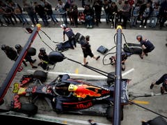 Der Red Bull von Max Verstappen wird in São Paulo aufs erste Training vorbereitet (Bild: KEYSTONE/EPA EFE/SEBASTIAO MOREIRA)