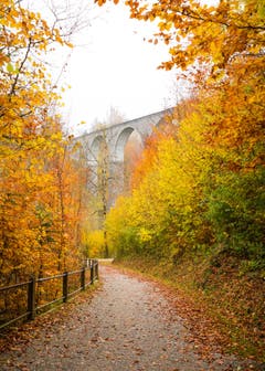 Einfach prächtig diese vielen Farben. Aufgenommen bei der alten Eisenbahnbrücke neben Lütisburg. (Bild: Adrian Steg)
