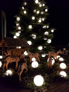 Der Weihnachtsbaum im ungleichen Spiegelbild. (Bild: Oesch Hansjürg)