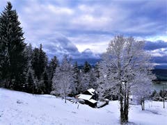 Herrliche winterliche Impressionen mit Aufhellungen am Himmel. (Bild: Urs Gutfleisch (Eigenthal, 10. Dezember 2018))