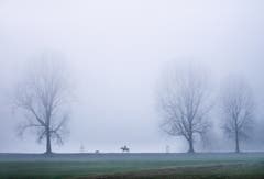 Nebel am Andwiler Moos. (Bild: Wolfgang Reisser)