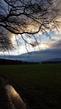 Morgenspaziergang bei Zihlschlacht. (Bild: Marlies Steinemann)