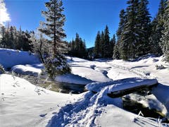 Wunderbare Winterlandschaft im Glaubenberg. (Bild: Urs Gutfleisch (Glaubenberg, 12. Dezember 2018))