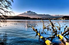 Fast wie Winter (Bild: Walter Buholzer (Luzern, 12. Dezember 2018))