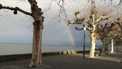 Nach Gewitter und starken Regengüssen kam die Sonne zwischen den dunklen Wolken hervor und zauberte eine einmalige Stimmung am Bodensee. (Bild: Vreny Liechti)