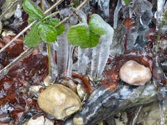 Die Kälte verzaubert die Natur. (Bild: Josef Lustenberger (Wolhusen, 13. Dezember 2018))