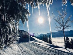 Winter auf der Rigi (Bild: Markus Brülhart (Rigi, 13. Dezember 2018))