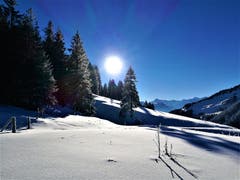 Strahlender Sonnenschein erreicht die schneebedeckte Winterlandschaft. (Bild: Urs Gutfleisch (Glaubenberg, 12. Dezember 2018))