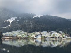 Gün-Weiss am Ägerisee. (Bild: Setrak Bahceli (15. Dezember 2018))