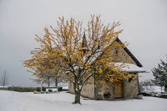 Die Gallus Kapelle in Arbon im Winterkleid (Bild: Regina Rosin)